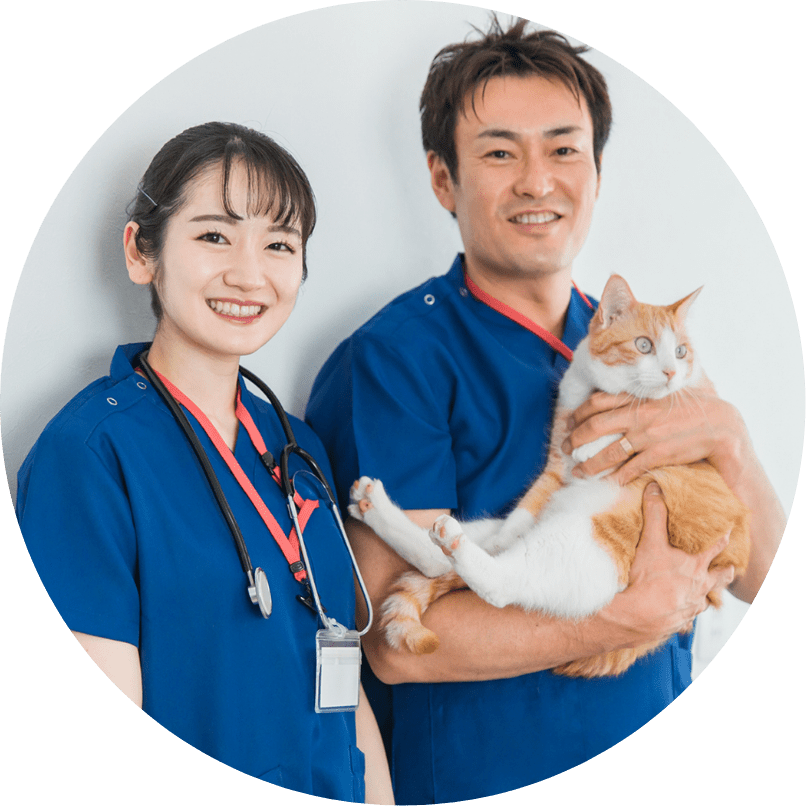 猫を抱えた男性と余生の写真